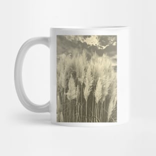 White Pampas Grass with dramatic sky above, nature sepia color photography Mug